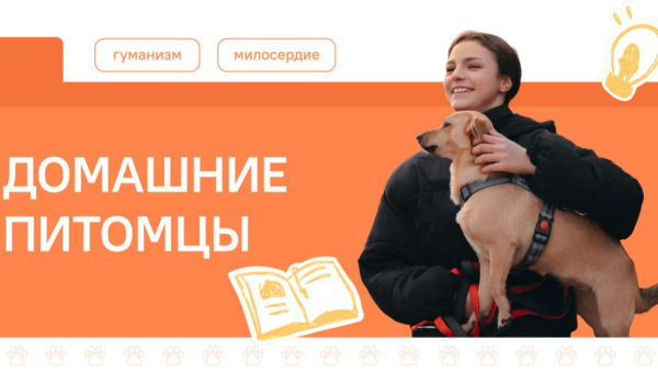 Домашние питомцы